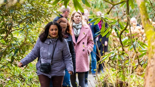 Guided walks with the Ranger